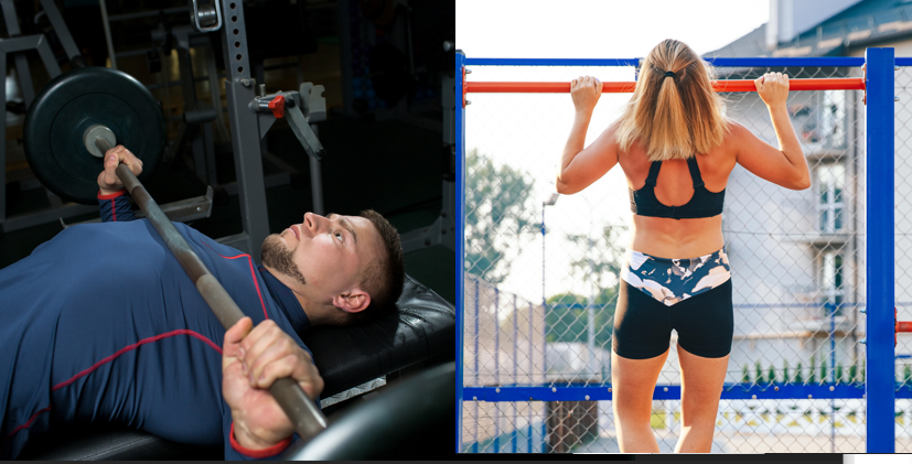 Imagen Gym vs calistenia